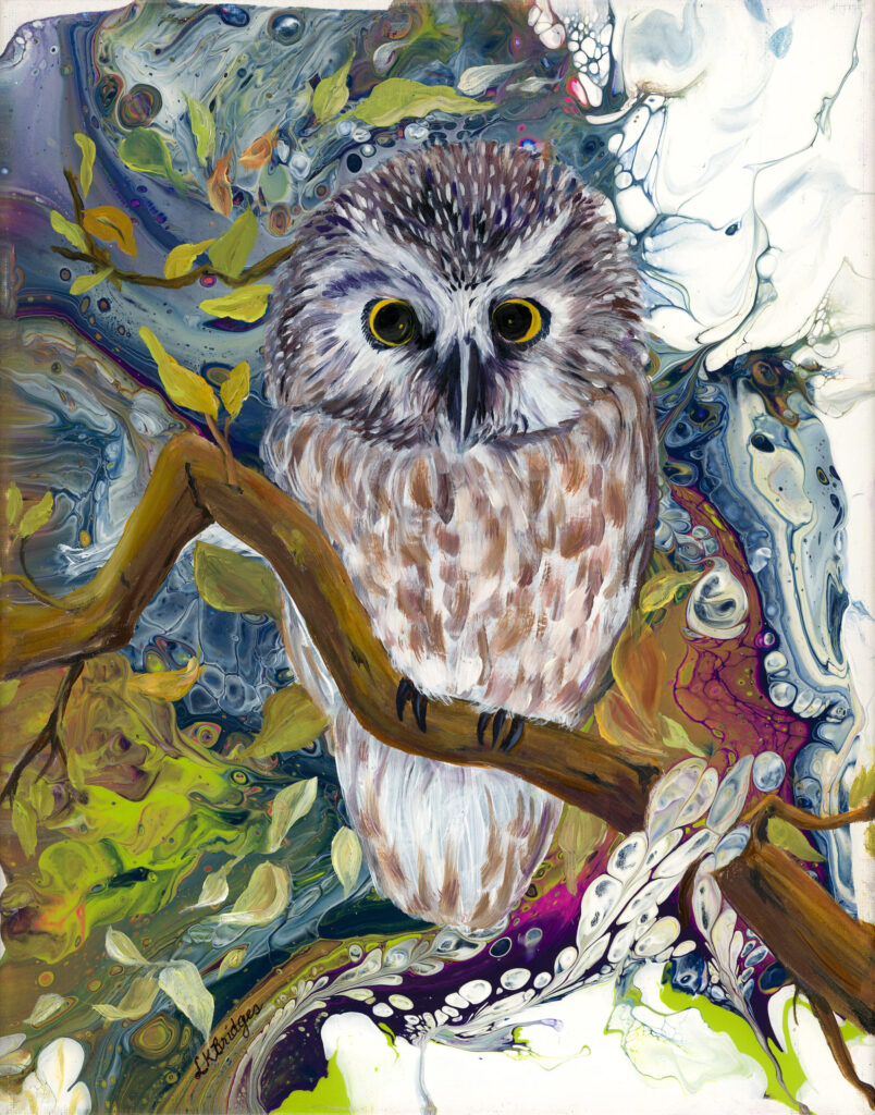 Boreal Owl Print