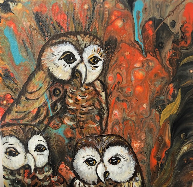 Three Little Barn Owls Looking Back at Me! Print